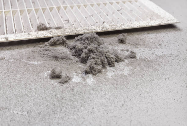 Best Commercial Air Duct Cleaning  in Beeville, TX